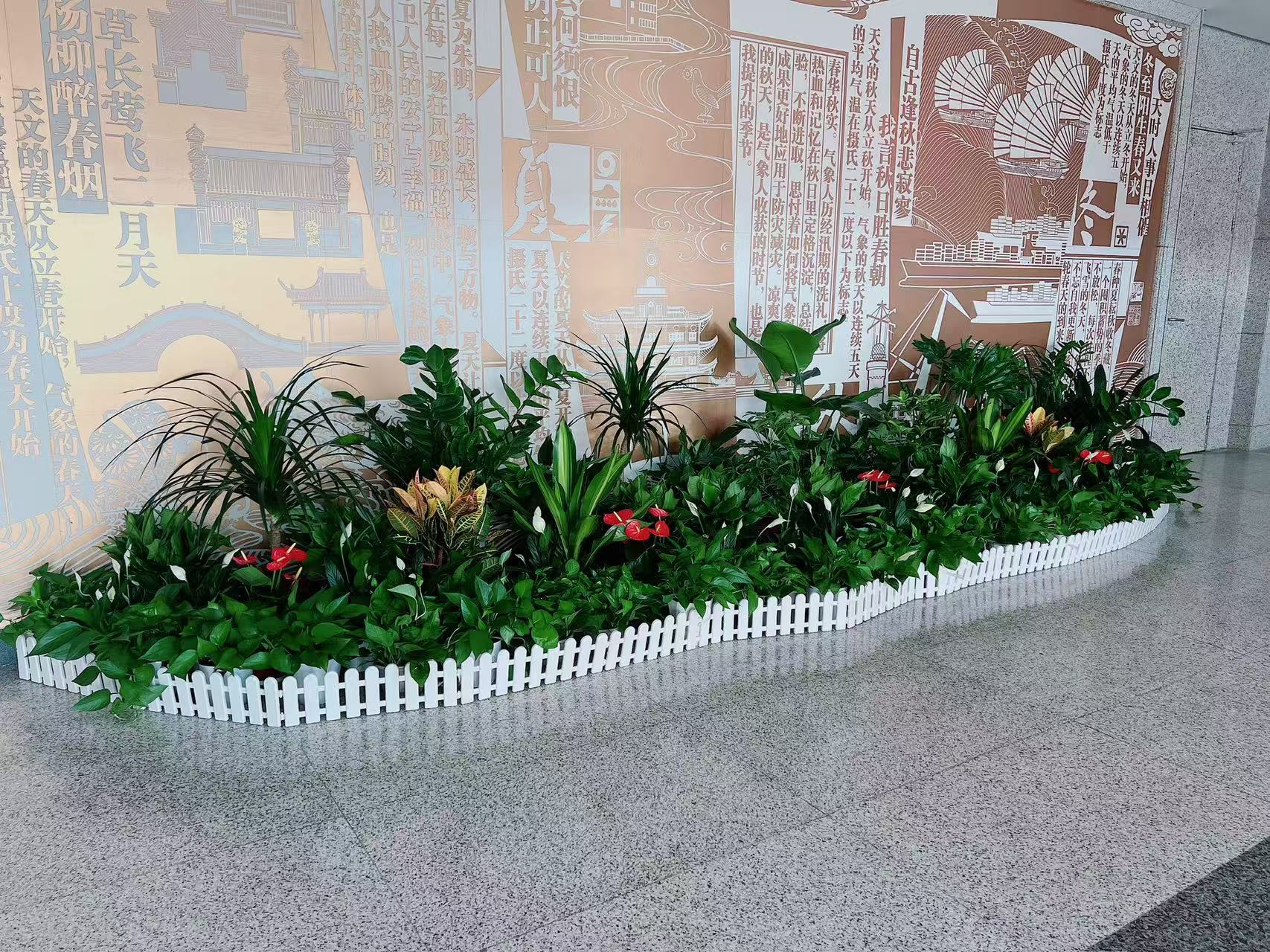 解锁宁波海曙植物租摆，让环境瞬间变优雅